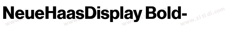 NeueHaasDisplay Bold字体转换 NeueHaasDisplay Bold字体转换